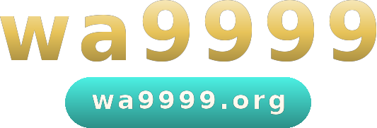 wa9999 logo